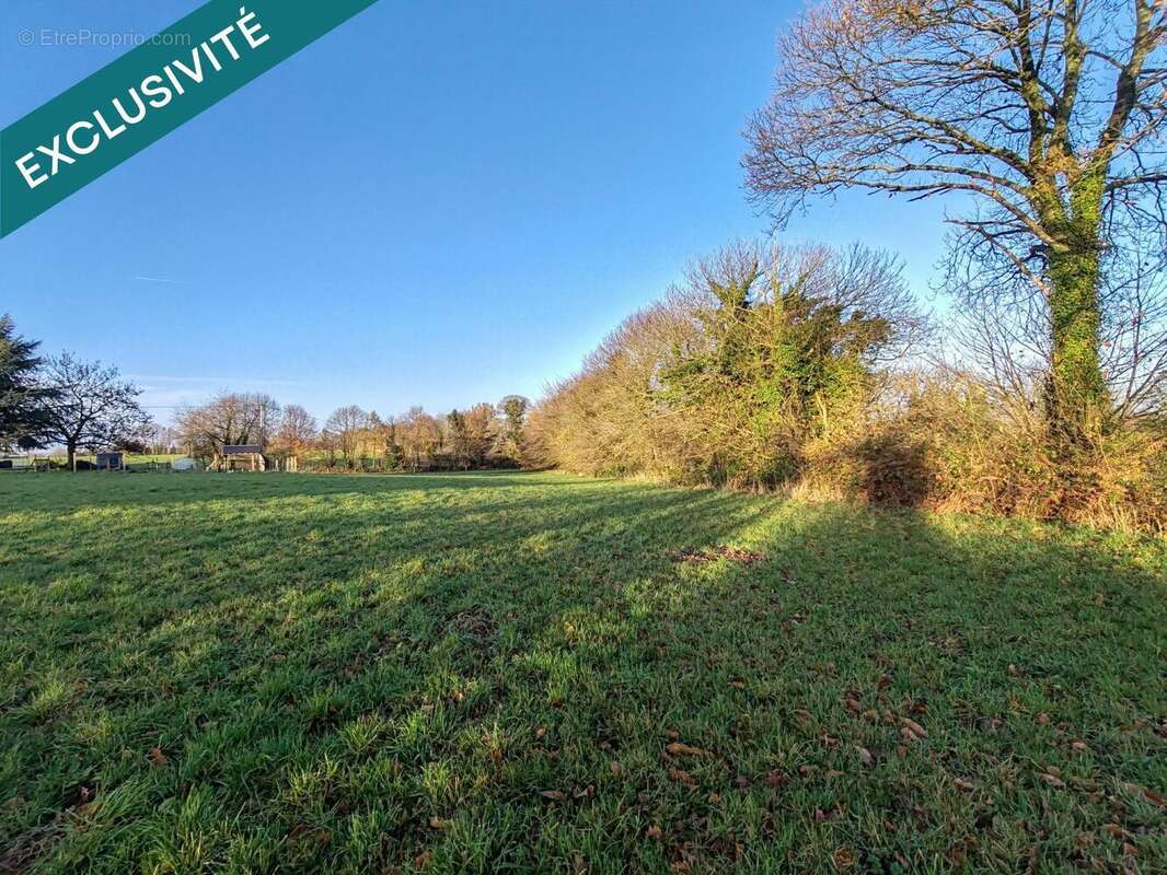 Photo 9 - Terrain à FOUGEROLLES-DU-PLESSIS