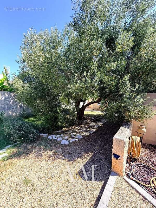 Villa T6 de 163 m² sur 576 m² - photo 3