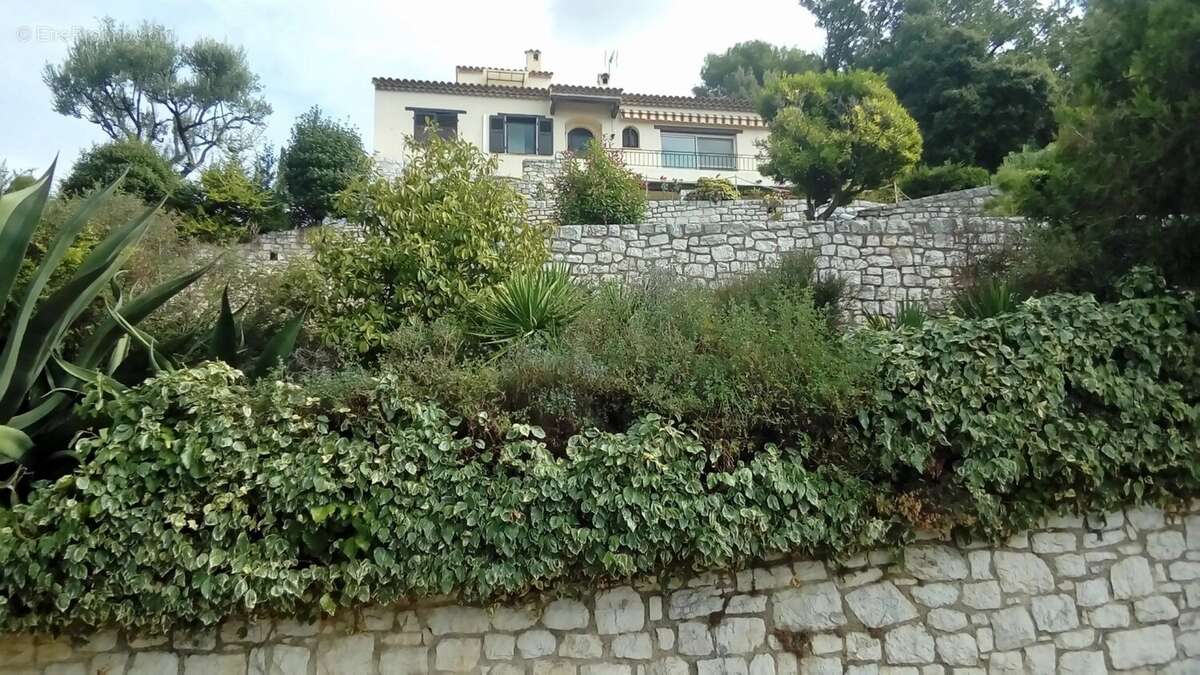 Cour - Maison à VENCE