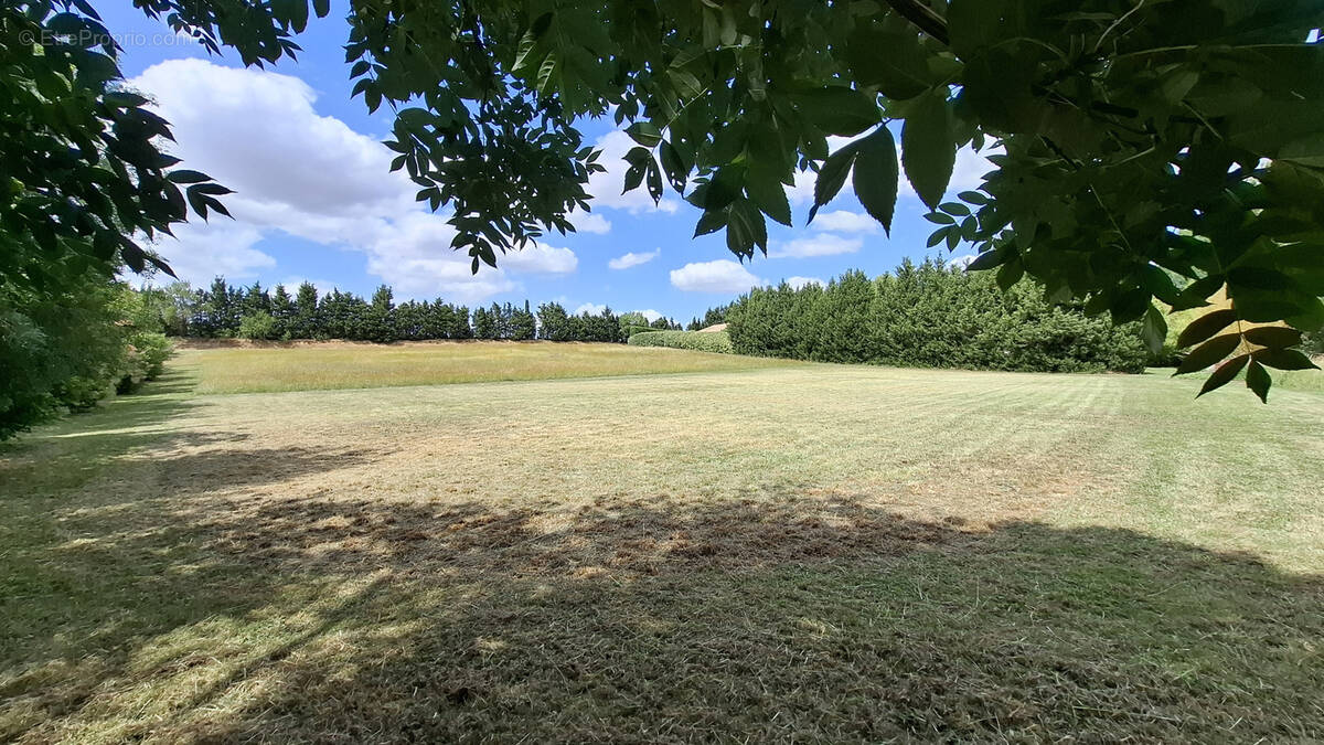 Terrain à LES CASSES