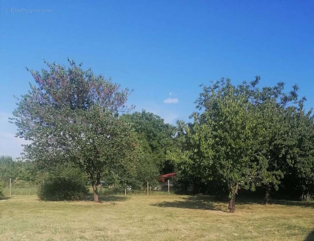 Maison 170 m² à Lisle-Sur-Tarn  - photo 5