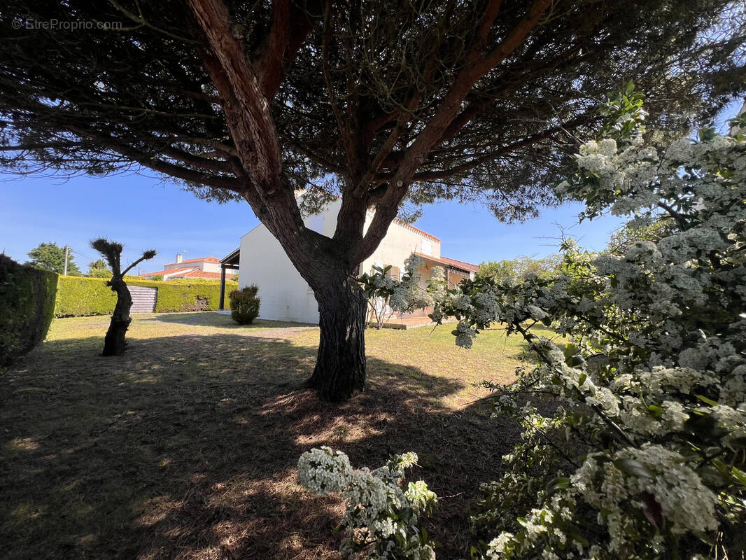Maison à LES SABLES-D&#039;OLONNE