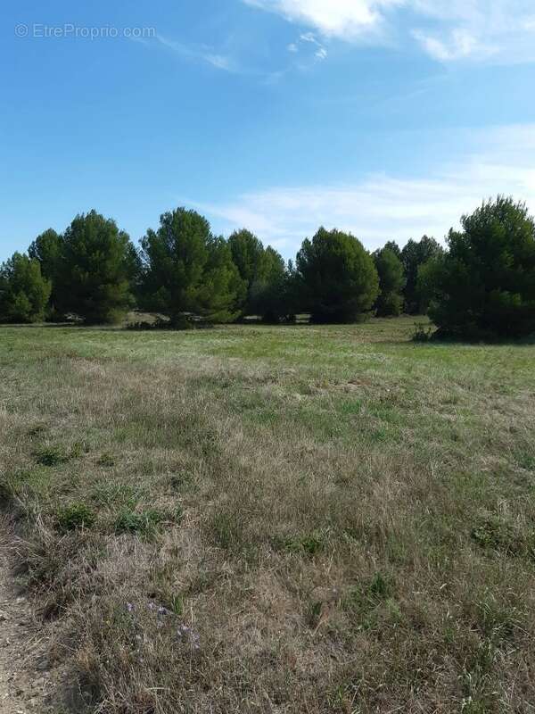 Terrain à SAINT-PARGOIRE