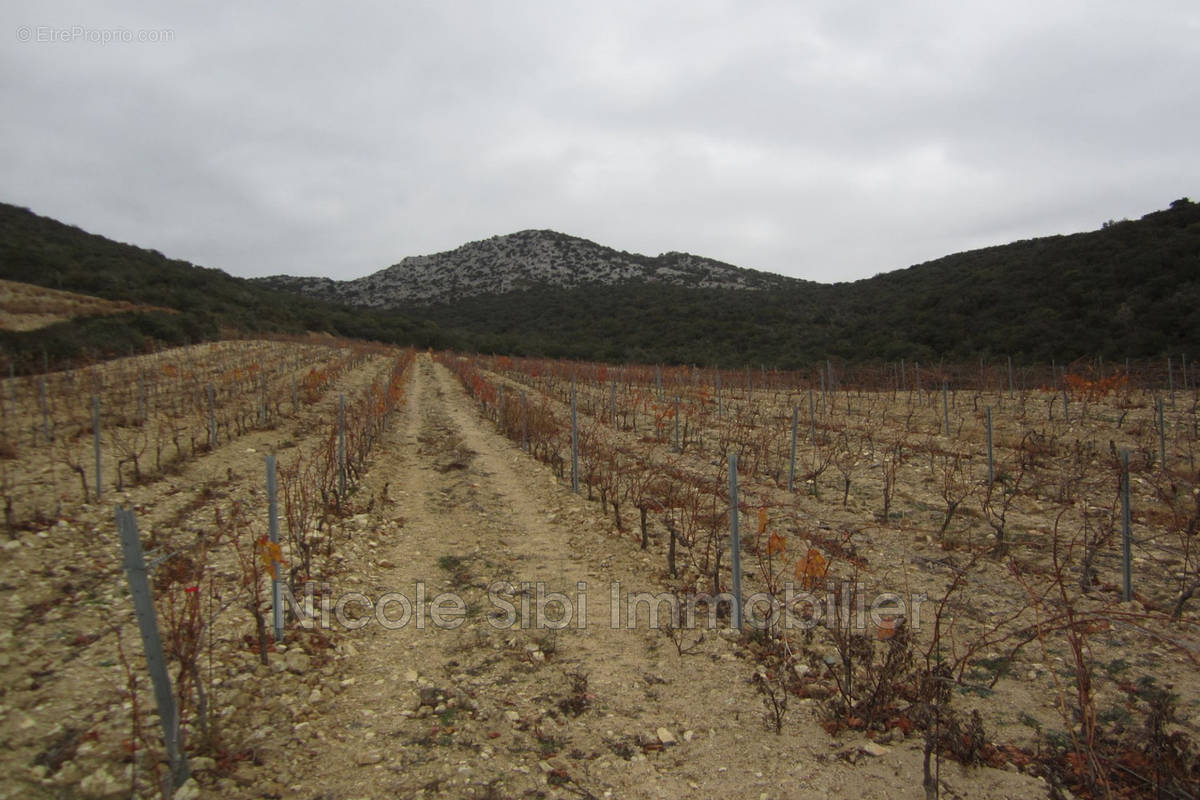 Terrain à LESQUERDE