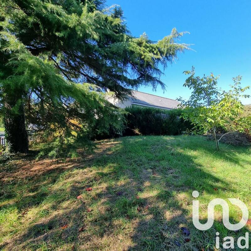 Photo 1 - Maison à LUYNES