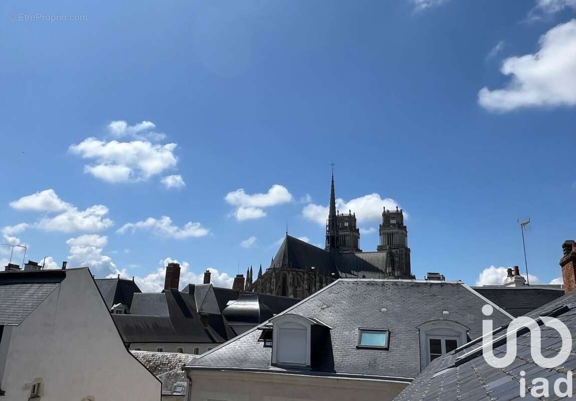 Photo 8 - Appartement à ORLEANS