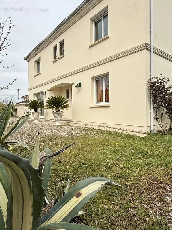 Maison à LE BOUSCAT