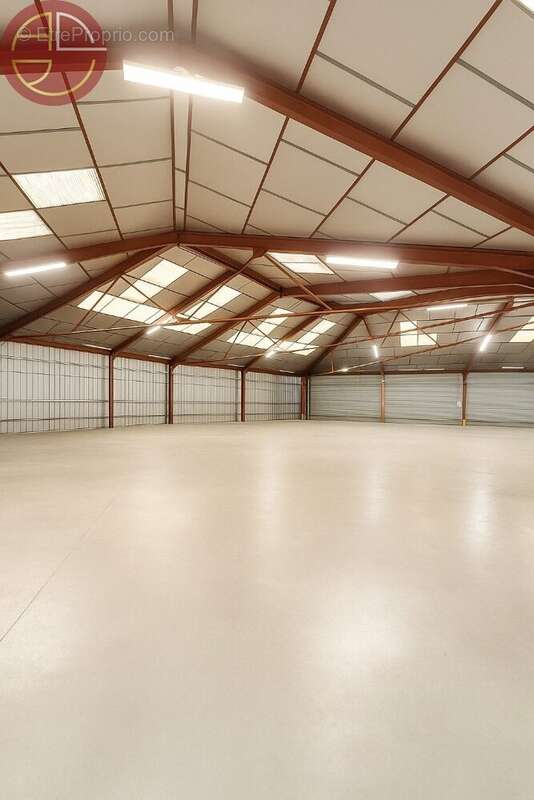 Commerce à PINS-JUSTARET