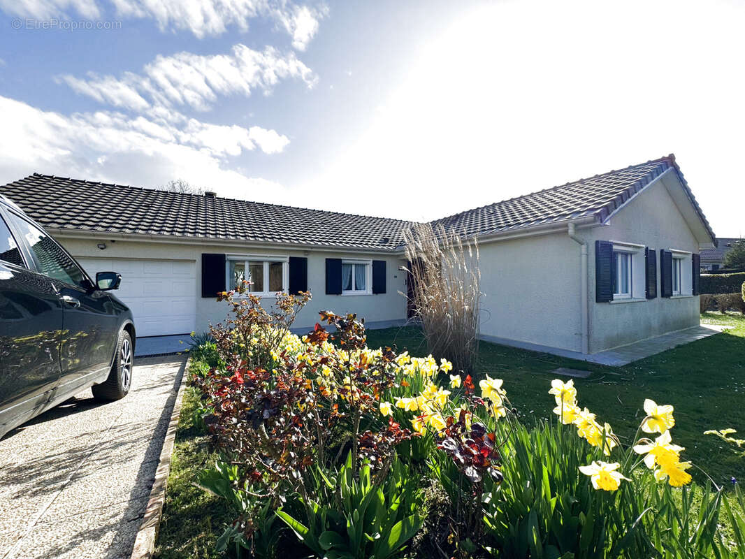 Maison à SAINT-WITZ