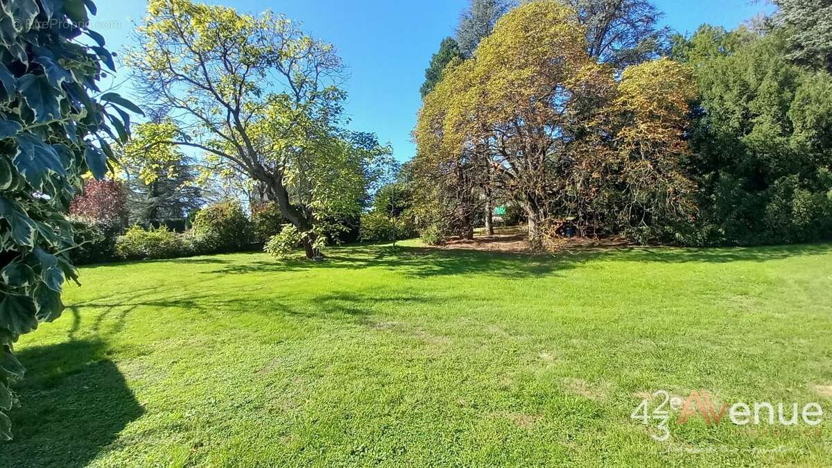 Maison à SAINT-MARTIN-LA-PLAINE