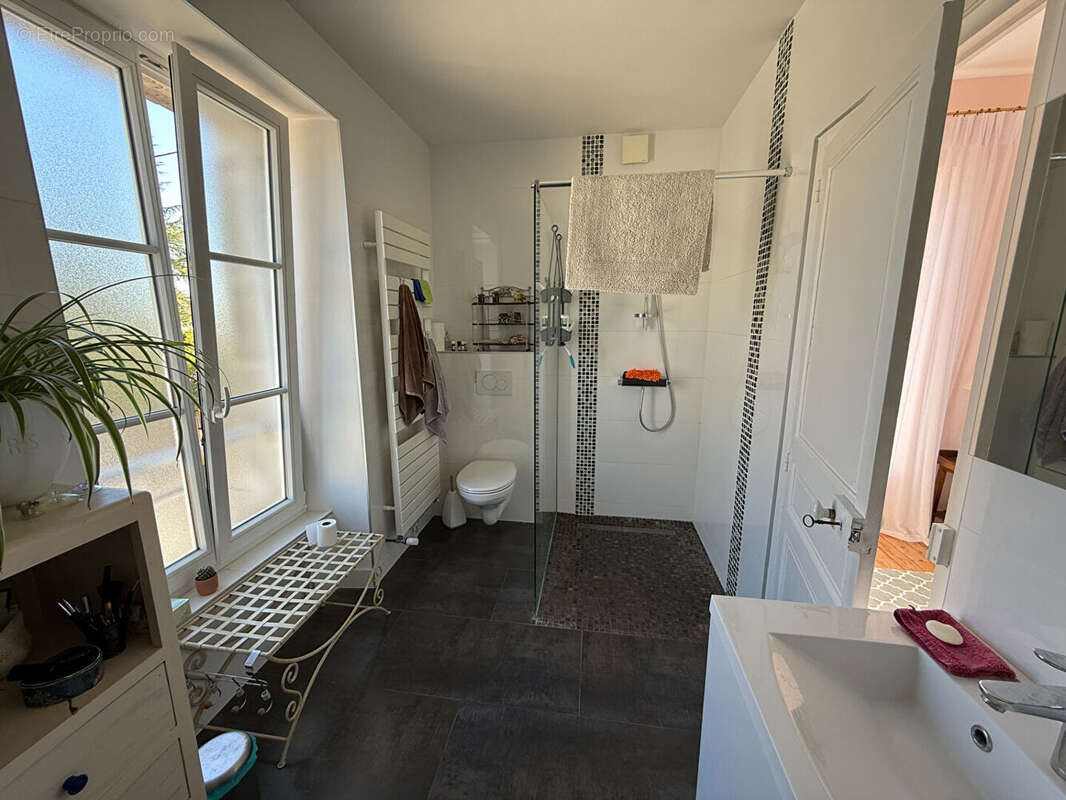 Rare et Magnifique maison de Maître dans le centre de Vendôme - photo 11