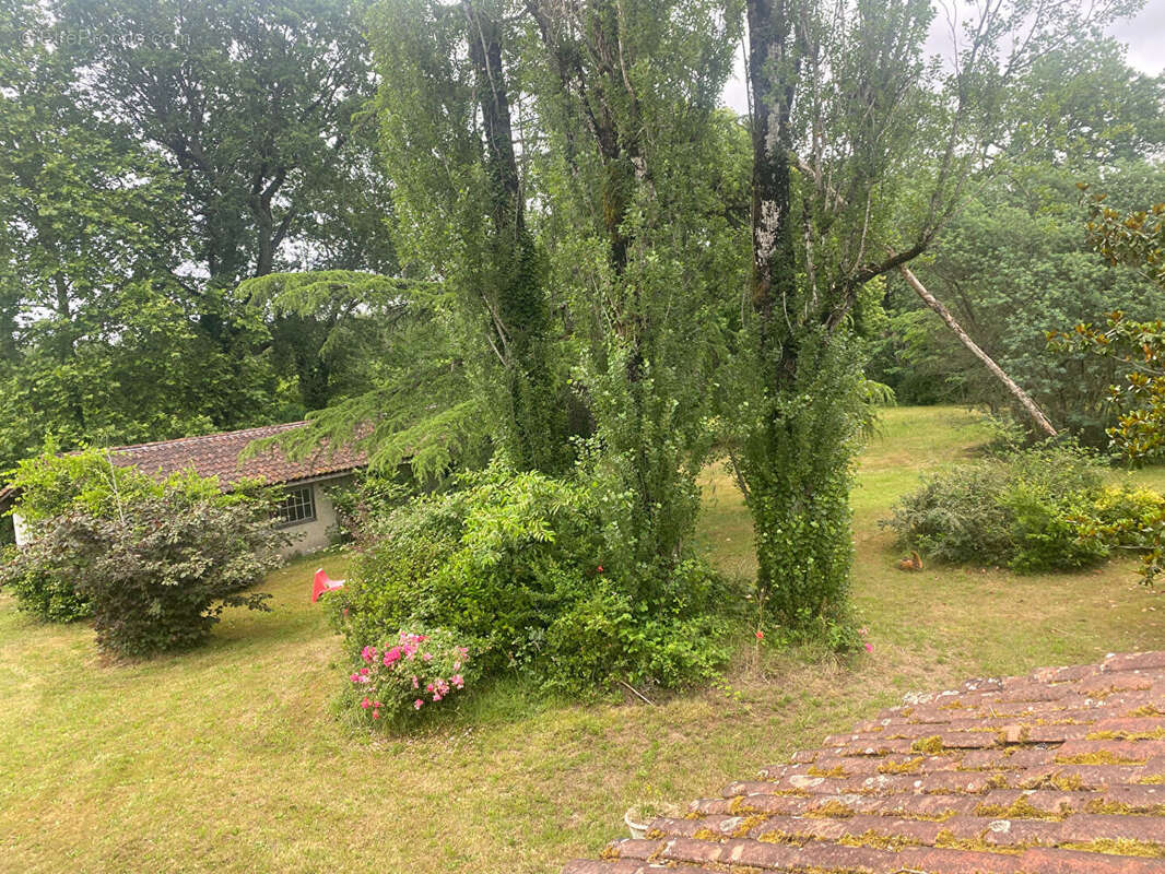 Maison à SAUGNACQ-ET-MURET
