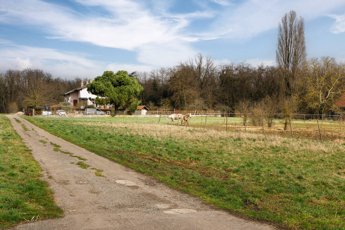 Terrain à NIEDERHERGHEIM