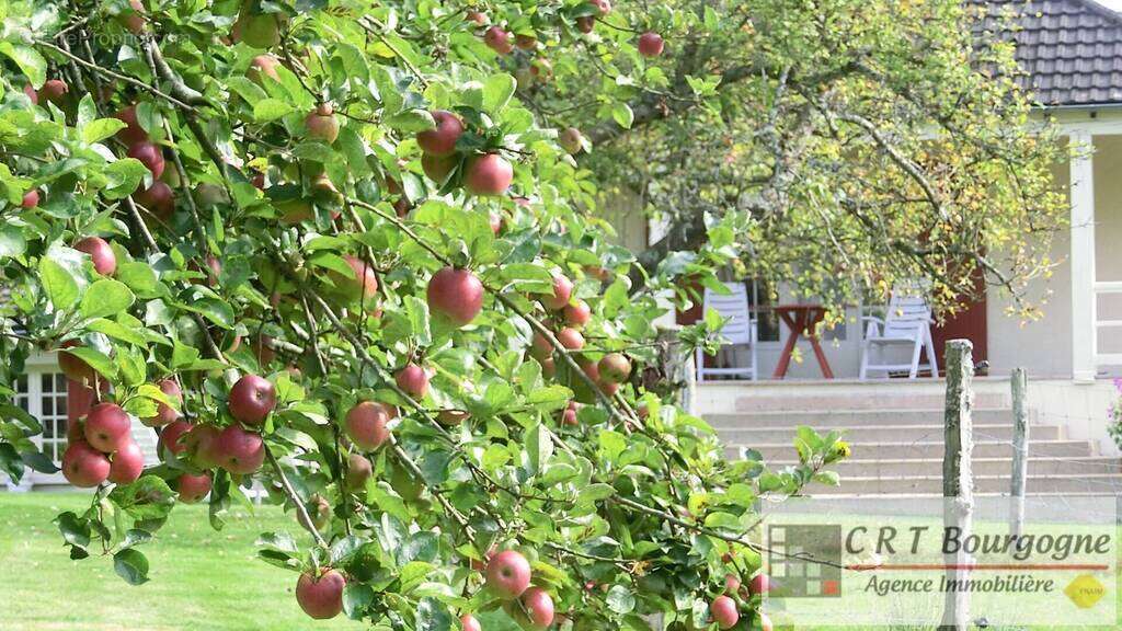 Maison à MOULINS-SUR-OUANNE