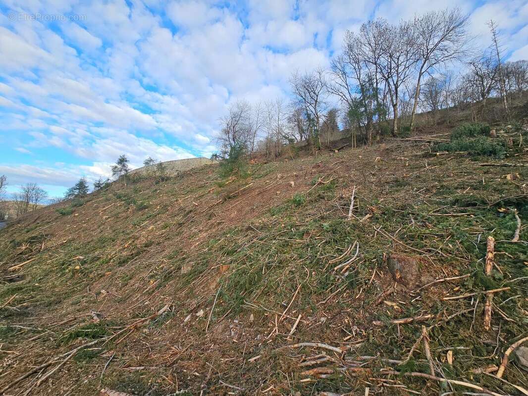 Photo 2 - Terrain à CHAUDES-AIGUES