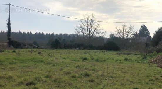 Terrain à MIGNE-AUXANCES