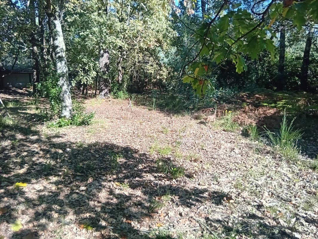 Terrain à ANDERNOS-LES-BAINS
