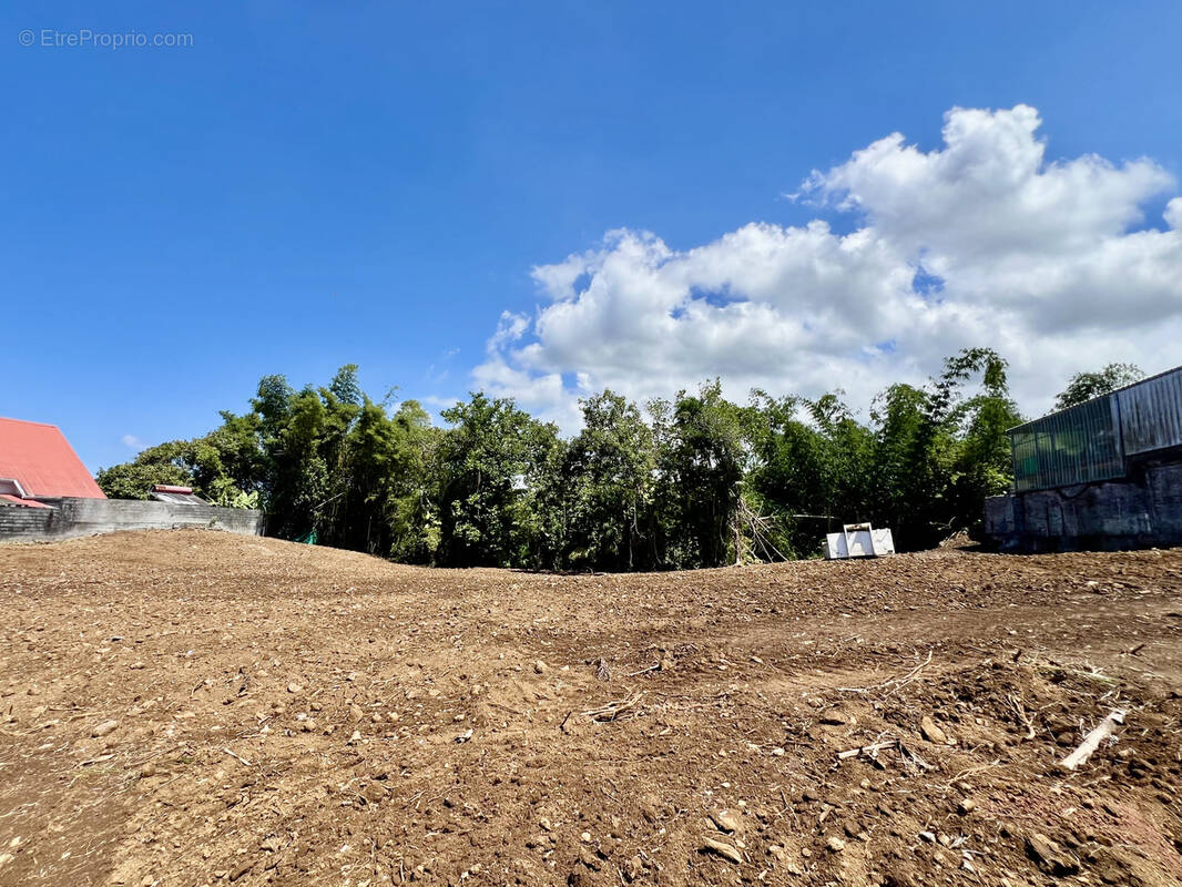 Terrain à SAINT-JOSEPH