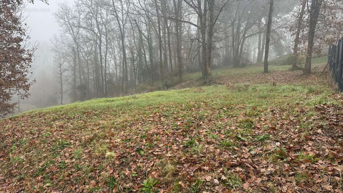 Terrain à LEVIGNAC