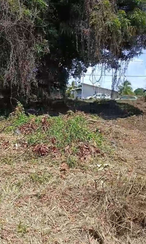 Maison à REMIRE-MONTJOLY