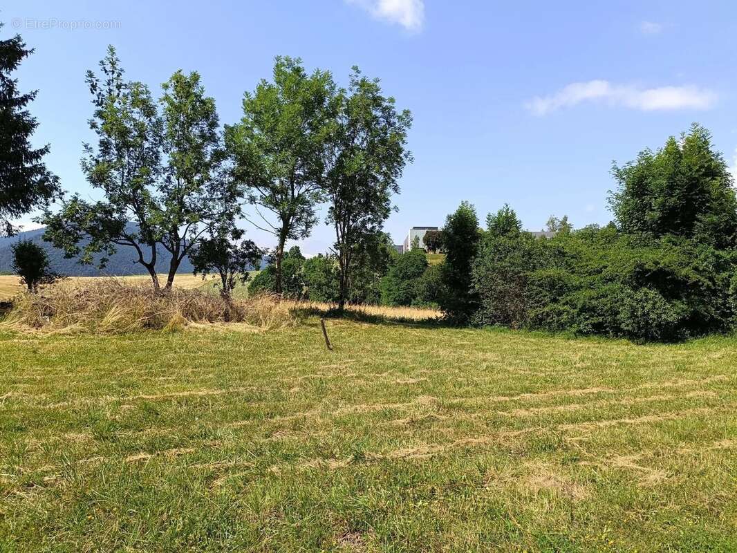 Terrain à VILLARD-DE-LANS