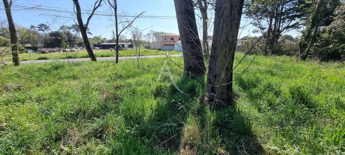 Terrain à SAINT-HILAIRE-DE-RIEZ