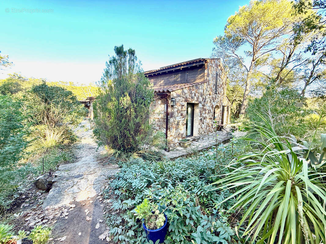 Maison ancienne avec potentiel   Terrain plat XXL et dépendances - photo 3