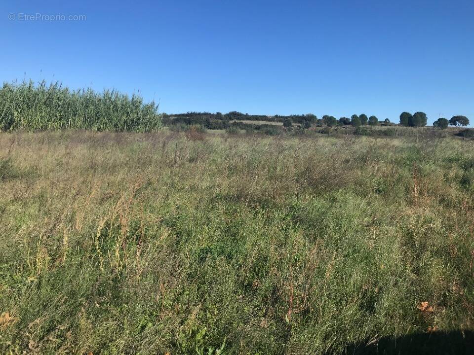 Terrain à SAINT-MATHIEU-DE-TREVIERS