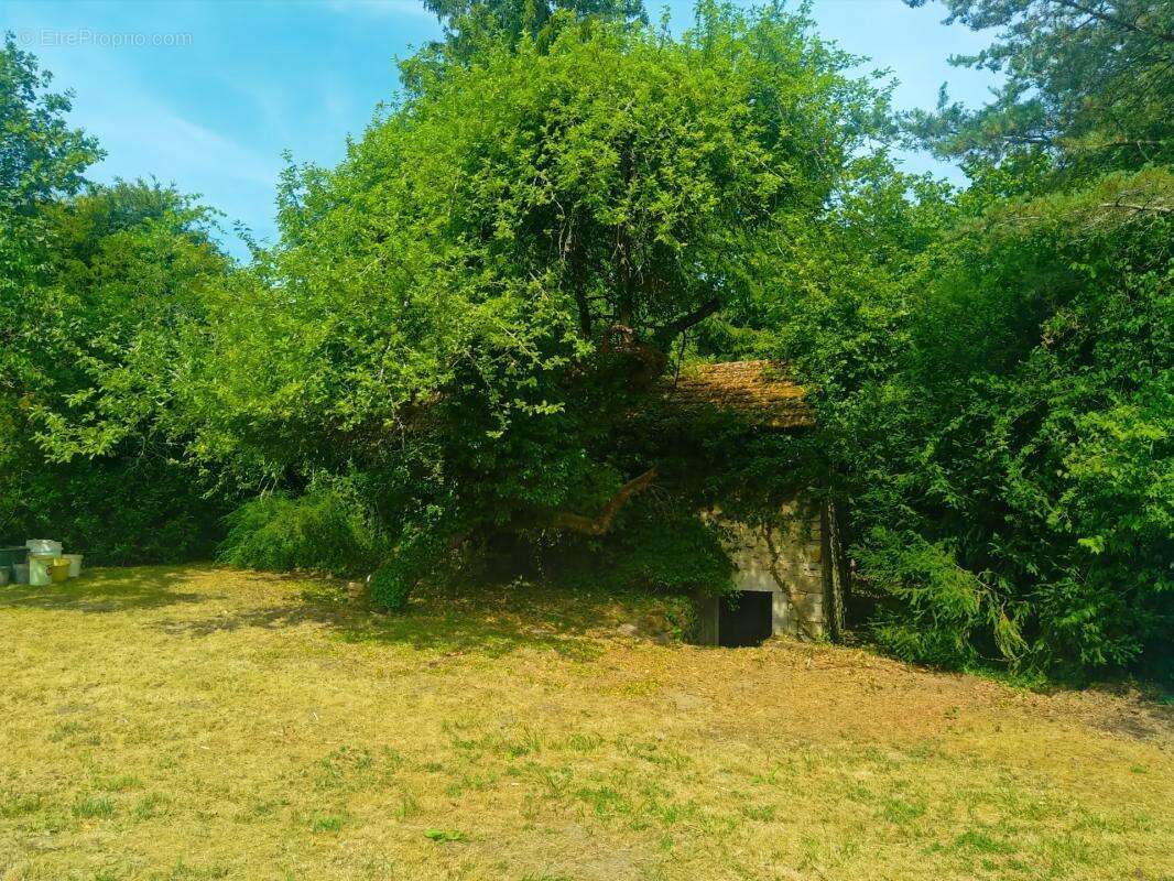 Maison avec son parc en bord de rivière - photo 2
