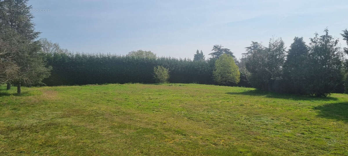 Terrain à VARENNE-SAINT-GERMAIN