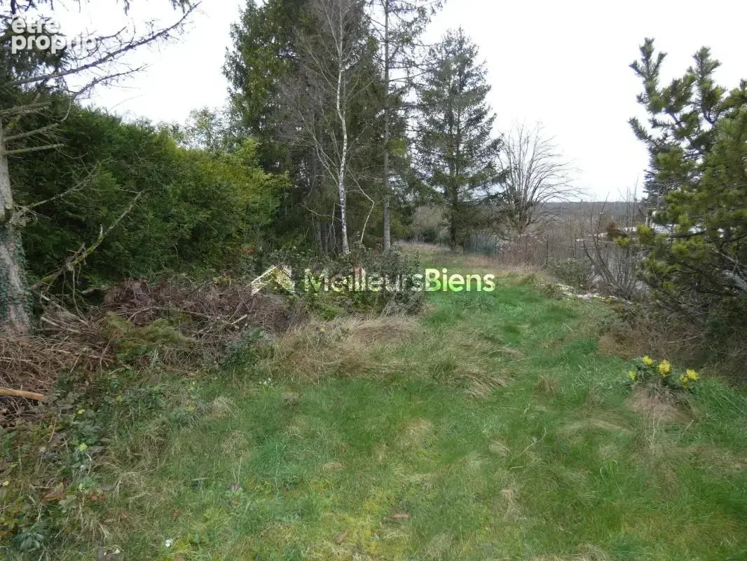Photo Terrain à Buthiers au prix de 77 000€