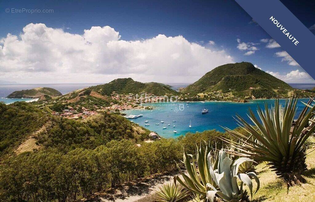 Maison à TERRE-DE-HAUT