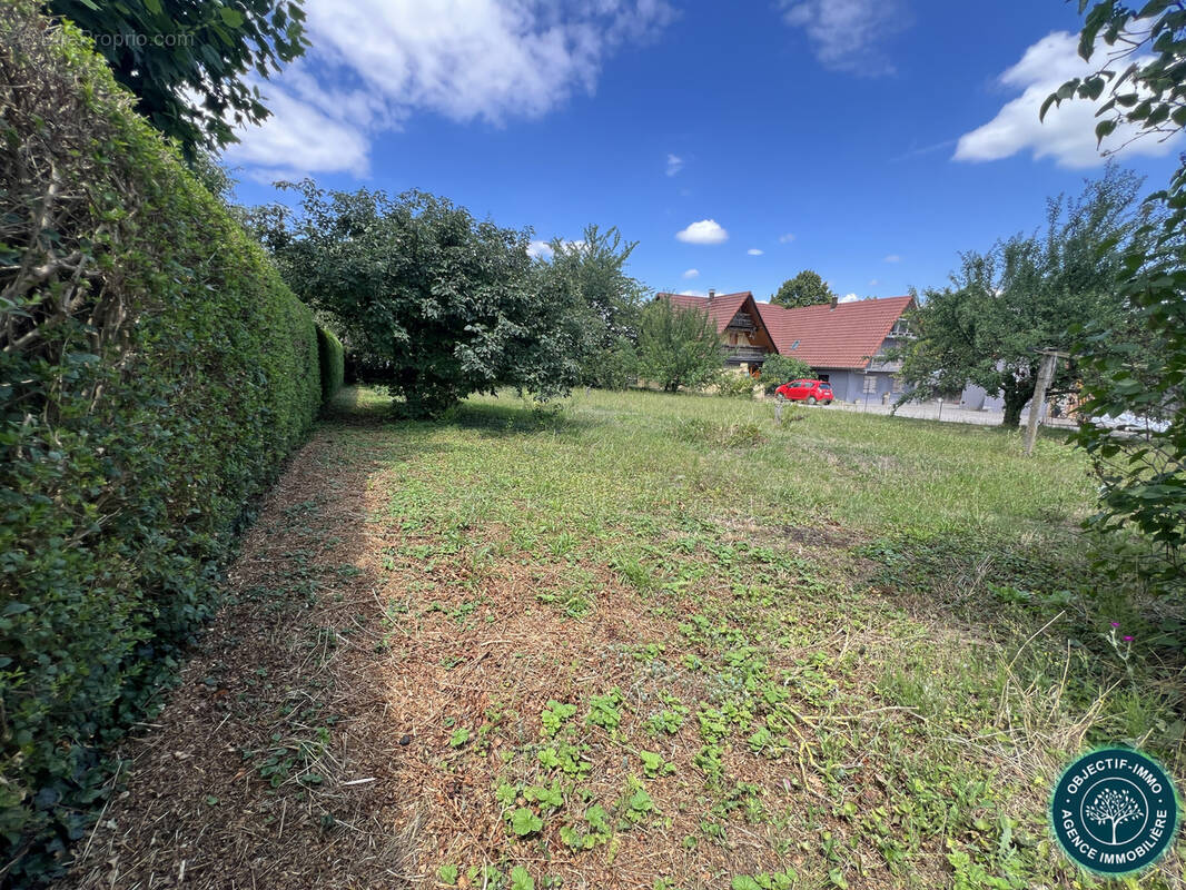 Terrain à WILLGOTTHEIM