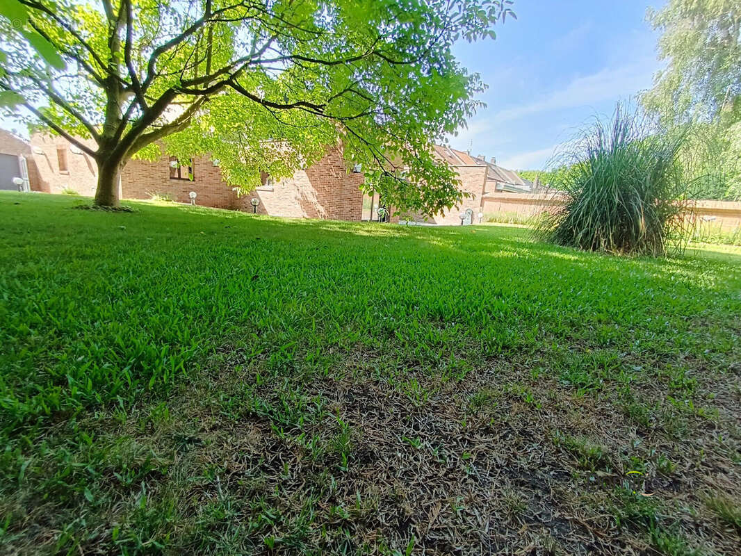 Maison à LYS-LEZ-LANNOY