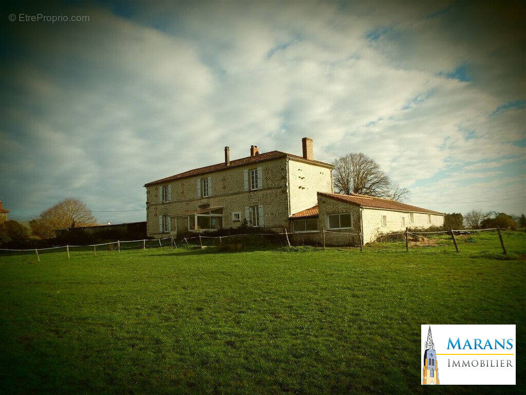 Face EST + extension(ou Gîte) - Maison à LE LANGON