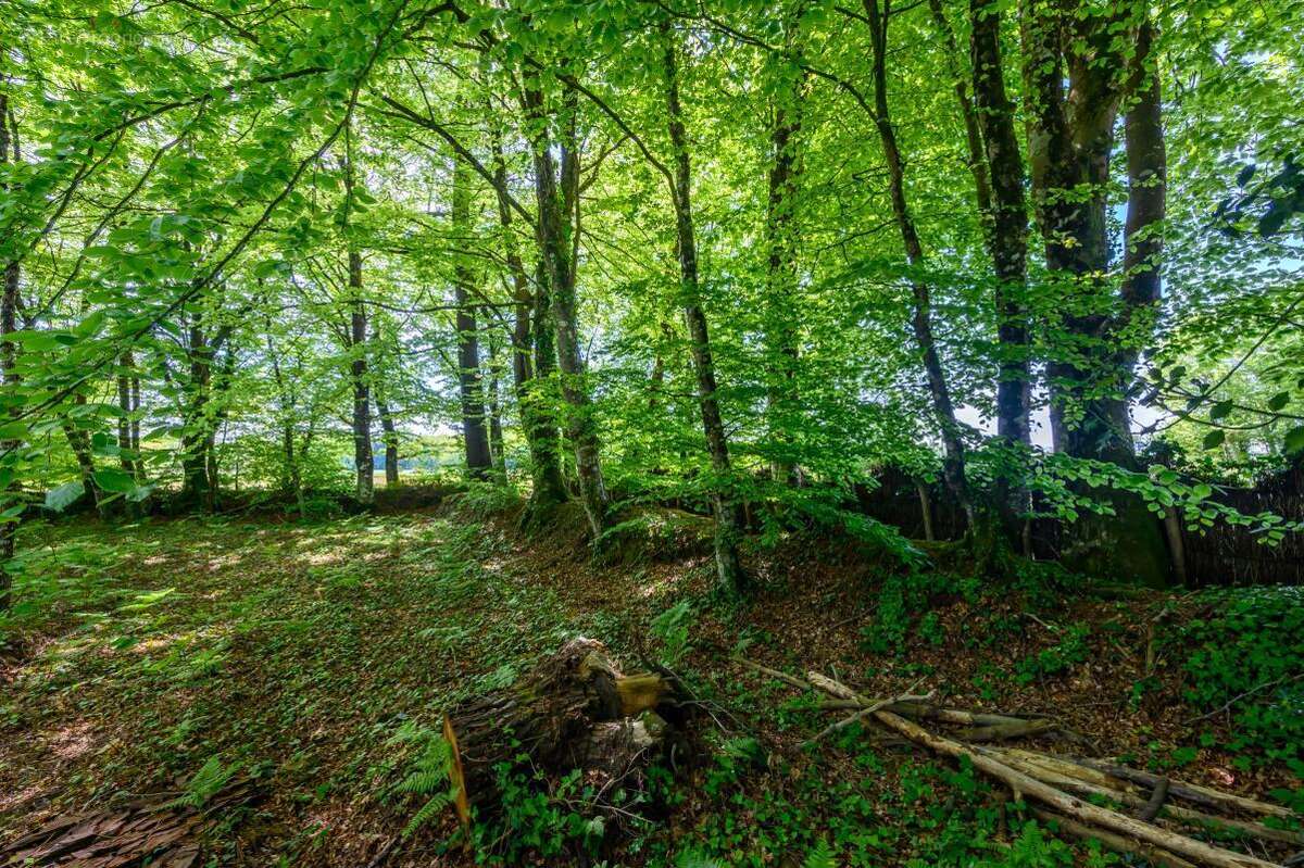 Terrain à CAUDAN