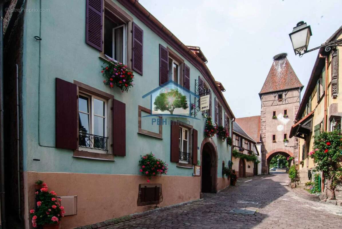 AMMERSCHWIHR (68) - Gîte & Chambres d'Hôtes Clé en Main - photo 2