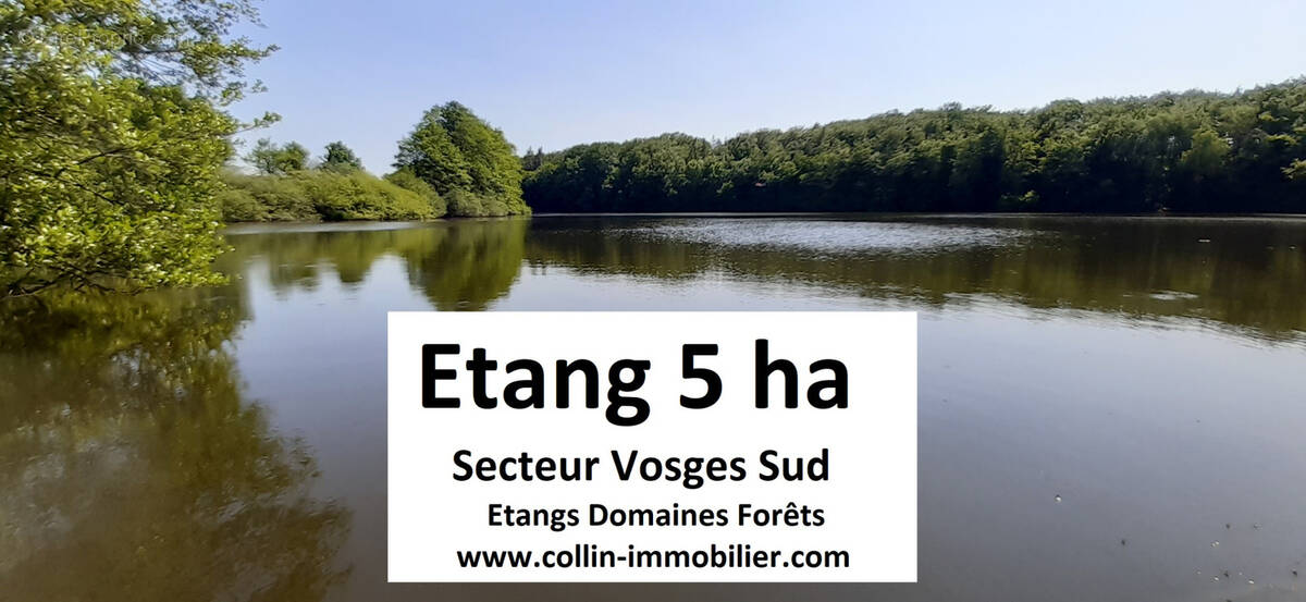 Terrain à PLOMBIERES-LES-BAINS