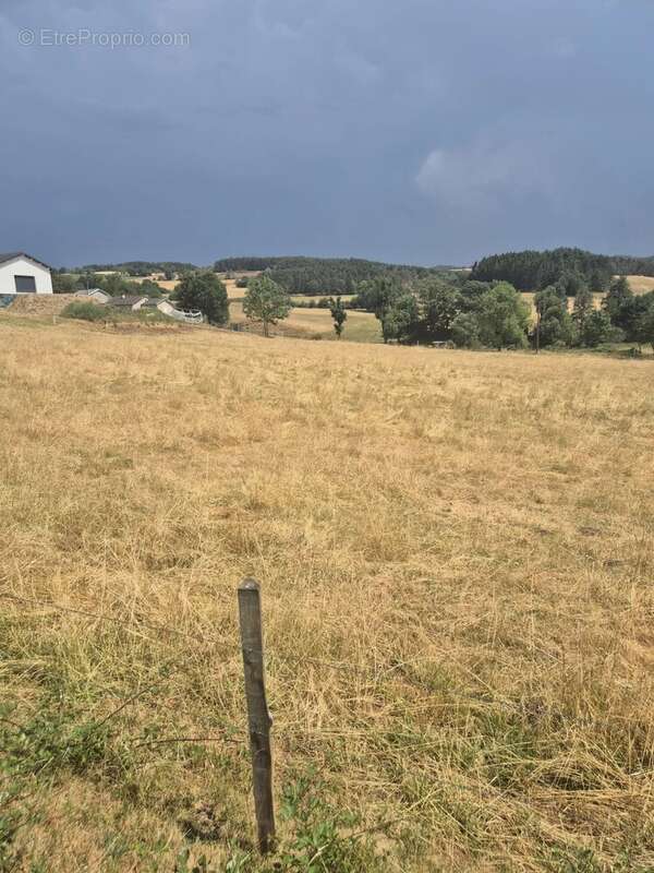 Terrain constructible à Saint Pierre Eynac - photo 2