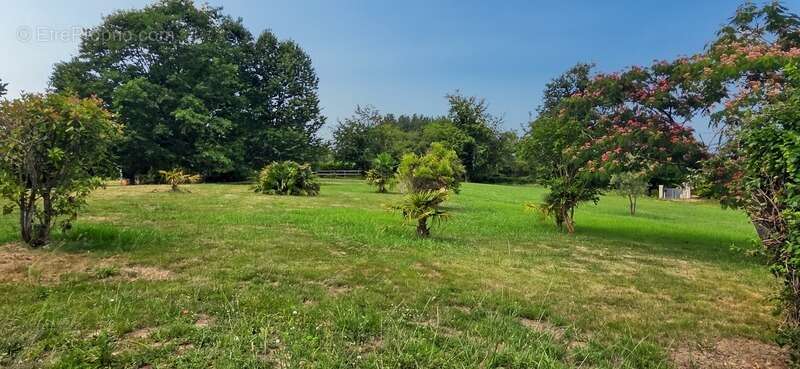 Maison à vendre 7 pièces REANS (32) - photo 25