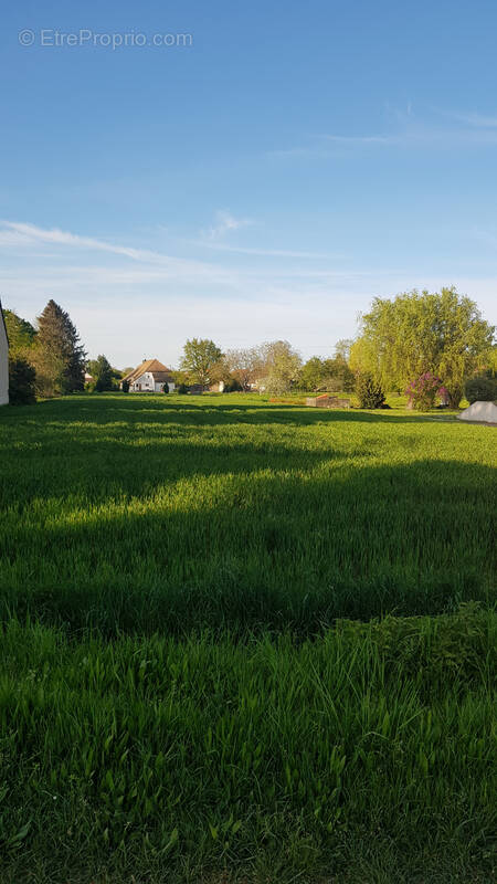 Terrain à BRAGNY-SUR-SAONE