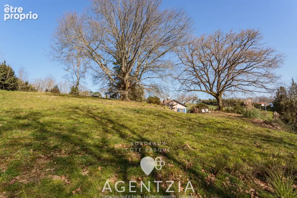 Bayonne propriété de charme avec parc arboré, étang et accès à un ponton privé sur l'Adour - photo 9