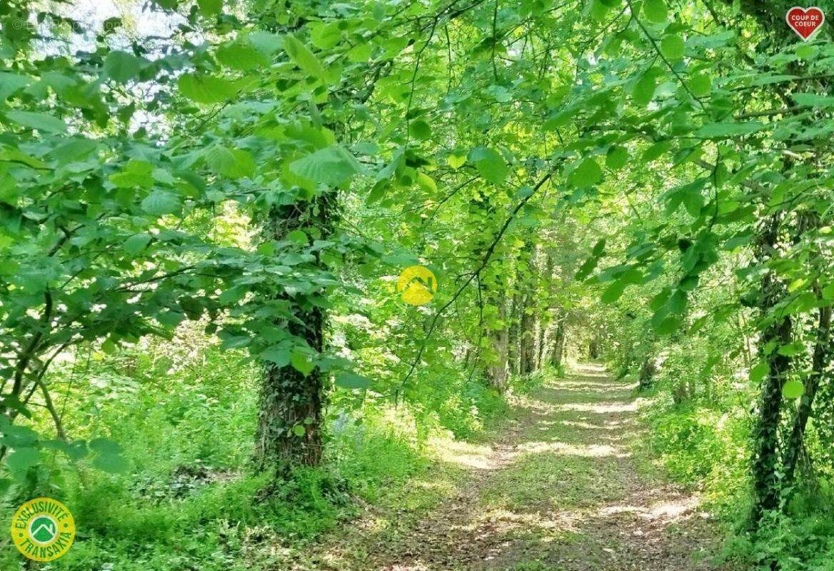 Maison à BEAURAINVILLE