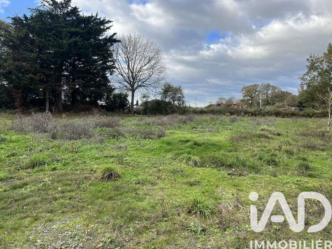 Photo 9 - Maison à CLERE-SUR-LAYON