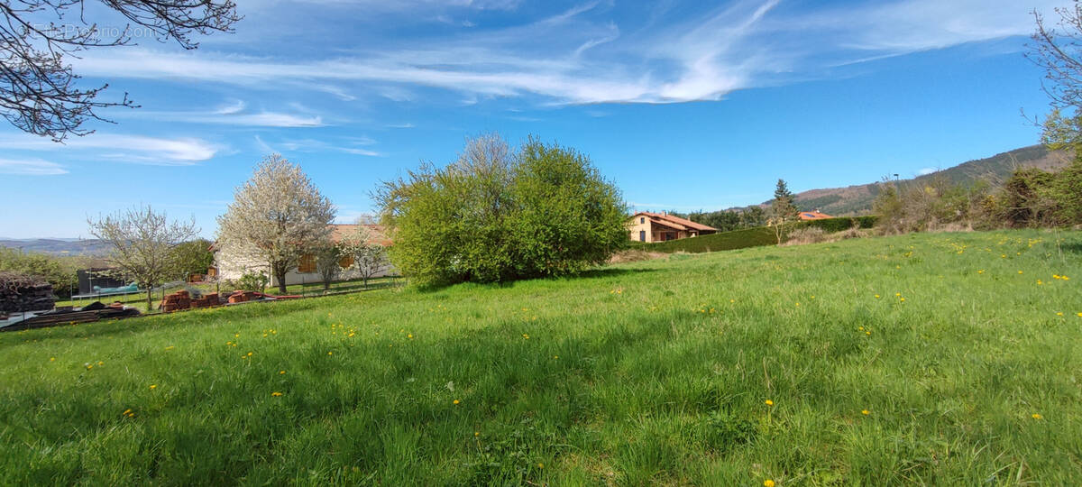 Terrain à CHAVANIAC-LAFAYETTE