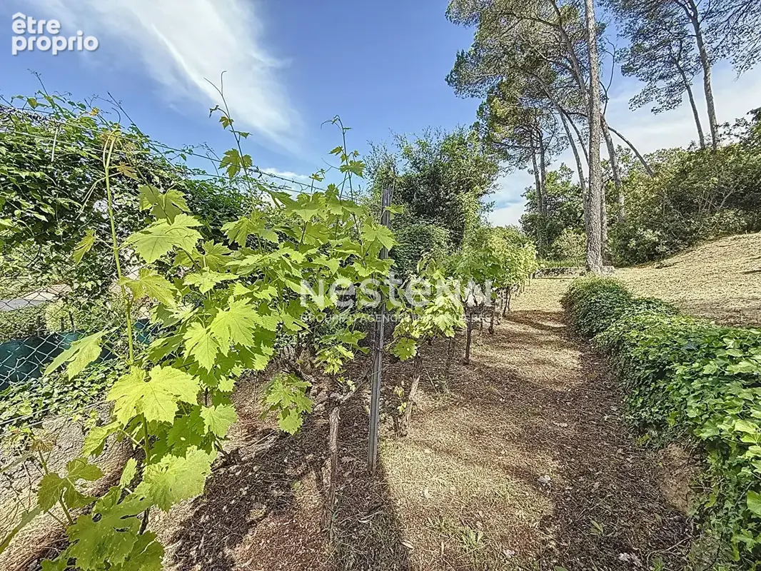 A VENDRE -Maison Le Cannet Des Maures 6 pièces 156 m2-Terrain 3580m2- Piscine,Carport,sous-sol - photo 17