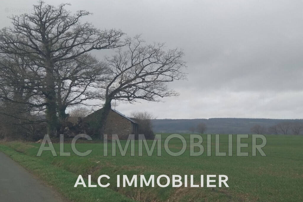 Terrain à SAINT-PIERRE-DES-NIDS