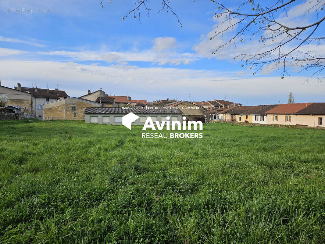 Commerce à SAINT-AMOUR