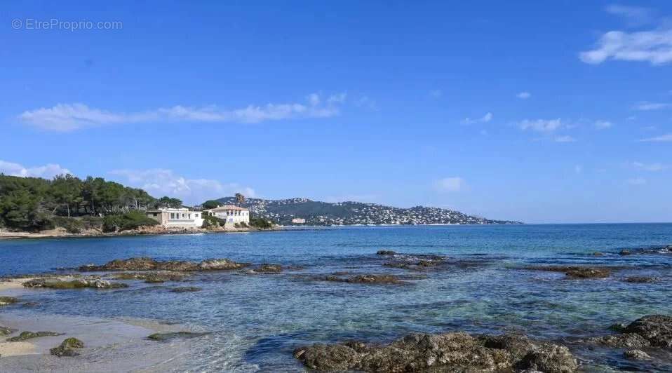 Appartement 20 m² à Sainte-Maxime  - photo 9