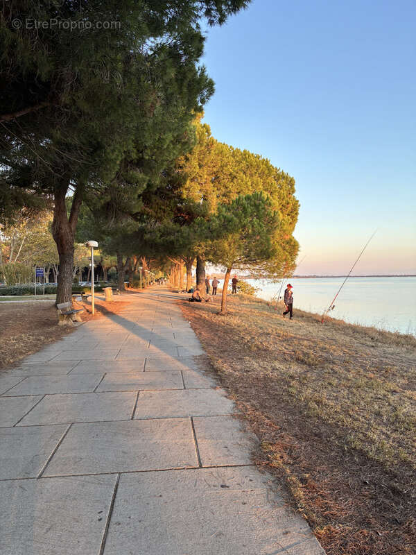Appartement à LA GRANDE-MOTTE